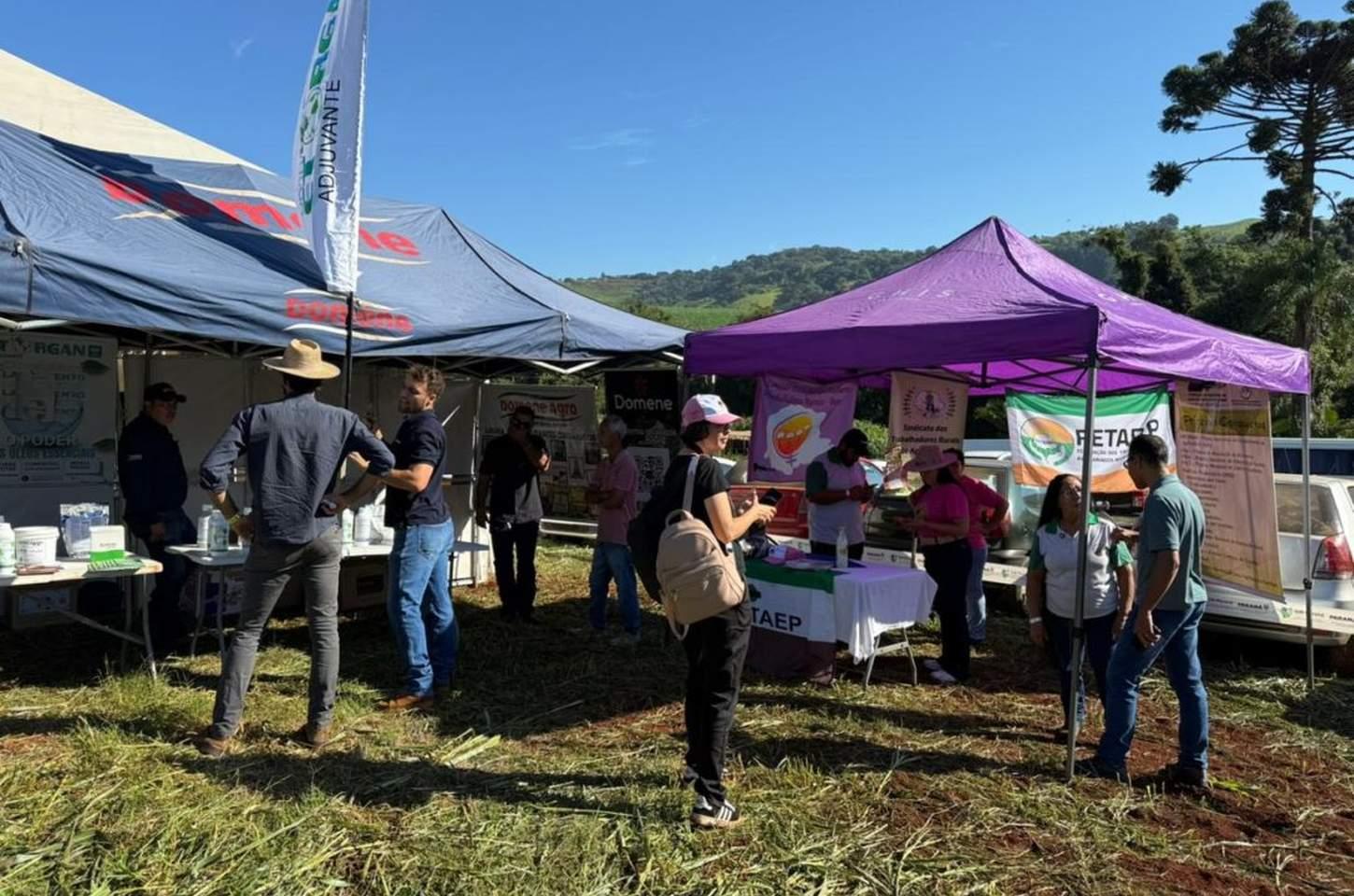 3º Dia de Campo de Olericultura Orgânica reúne produtores em Apucarana