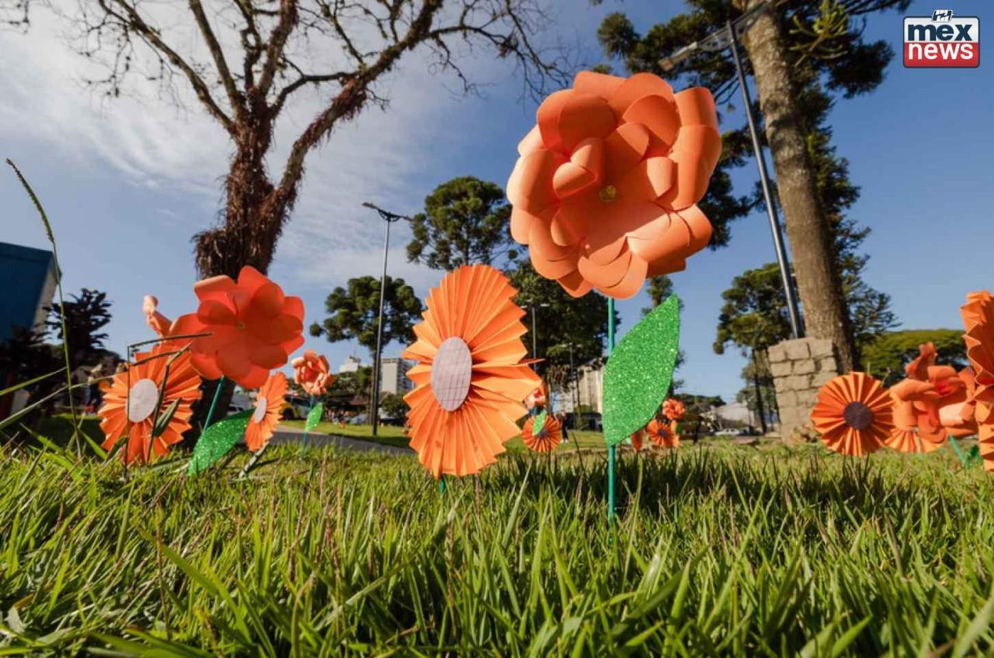 Abraço coletivo dá início ao Maio Laranja em Apucarana
