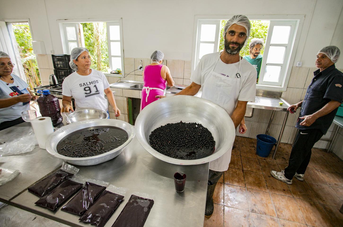 Açaí juçara vira fonte de renda e preservação no litoral do Paraná
