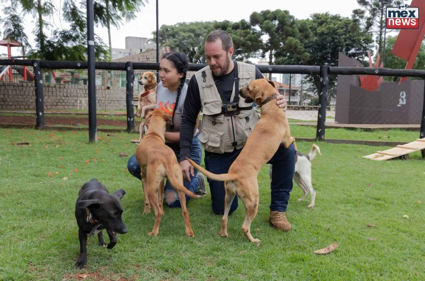 Adoção animal exige responsabilidade em Apucarana