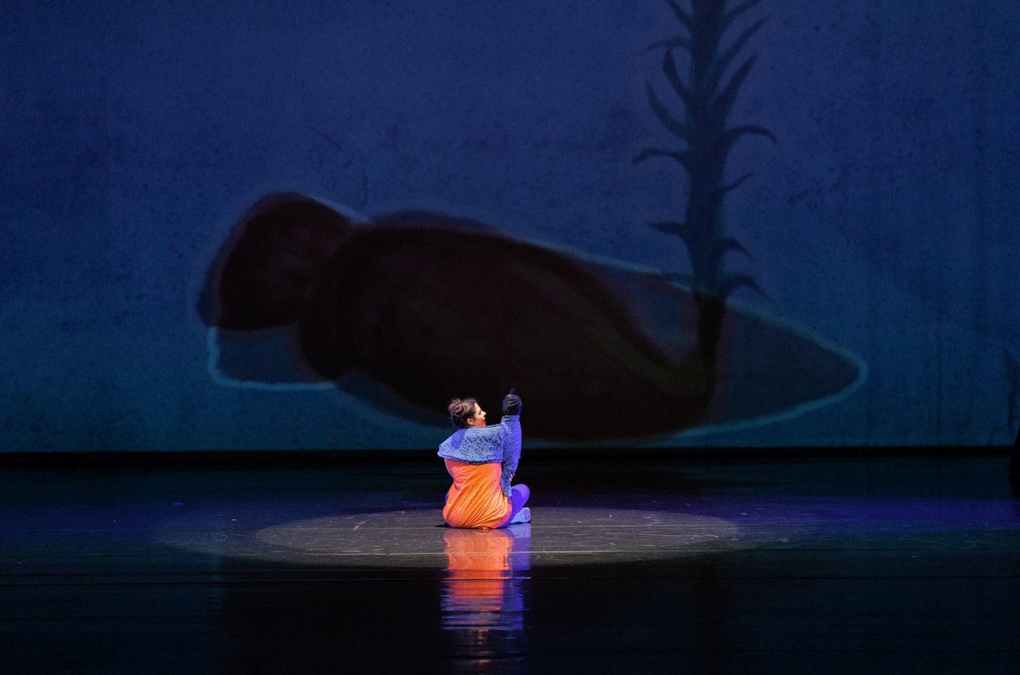 Agenda cultural de Curitiba oferece atrações para todos os gostos