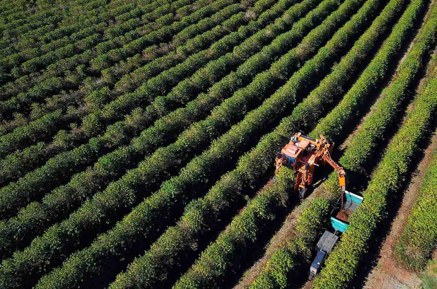 Agronegócio lidera contratações do BRDE no Paraná com R$ 1,26 bilhão