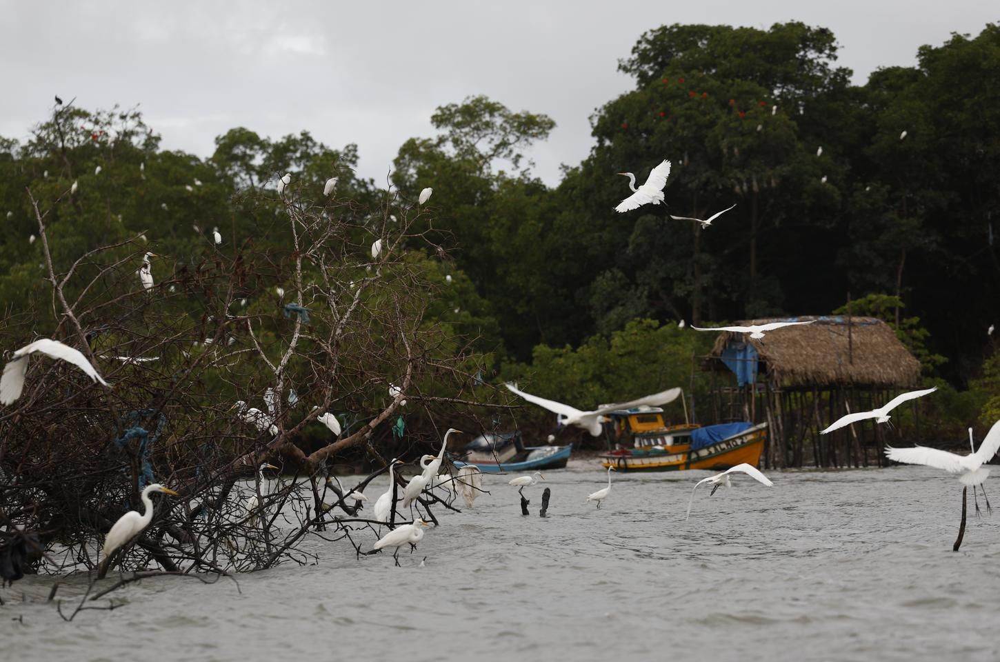 Amazônia Legal e faixa de fronteira ganham reforço contra crime organizado