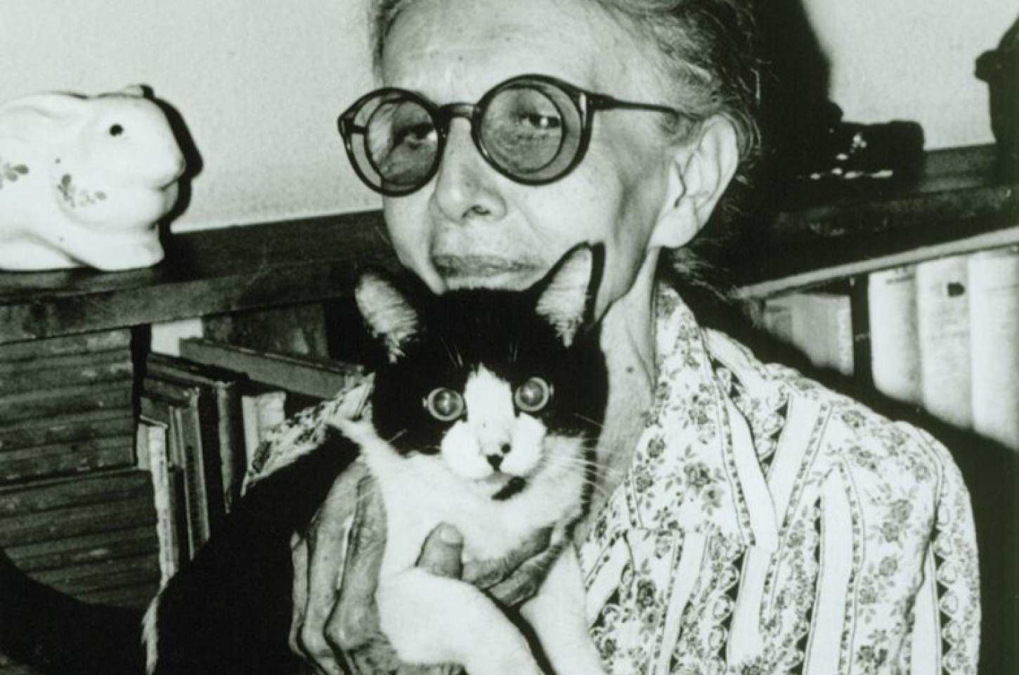 Animais são Anjos- a palestra 