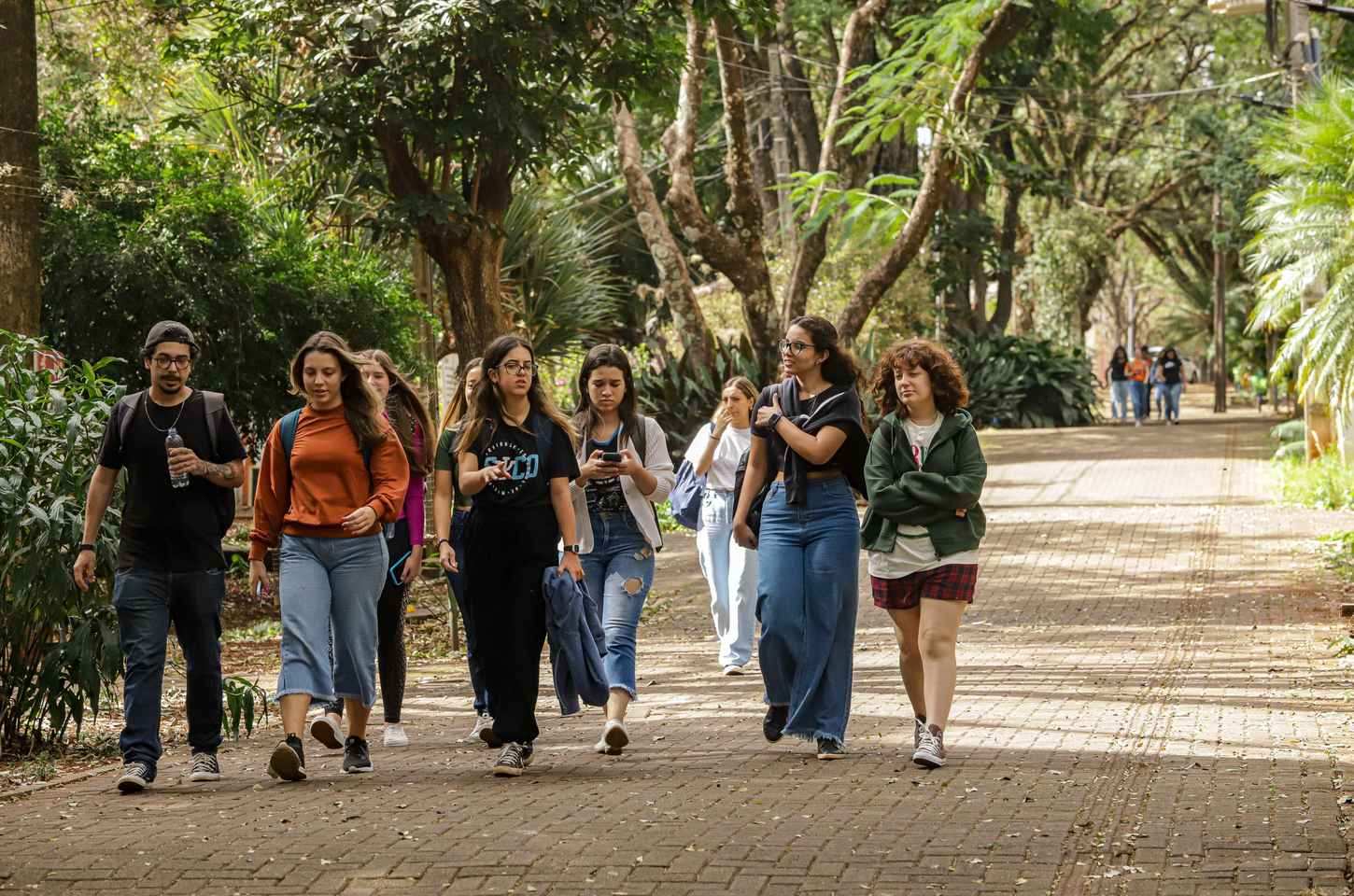 Ano letivo de 2026 começa nas universidades estaduais do Paraná