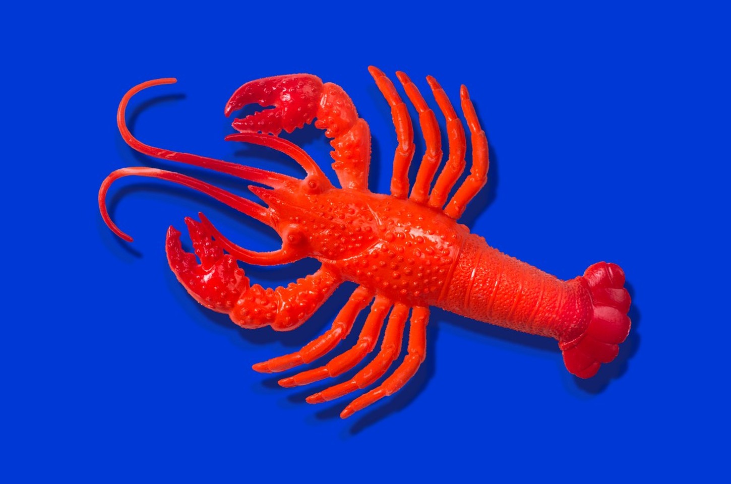 Anthropic aumenta preços para uso de Claude Code em ferramentas de terceiros