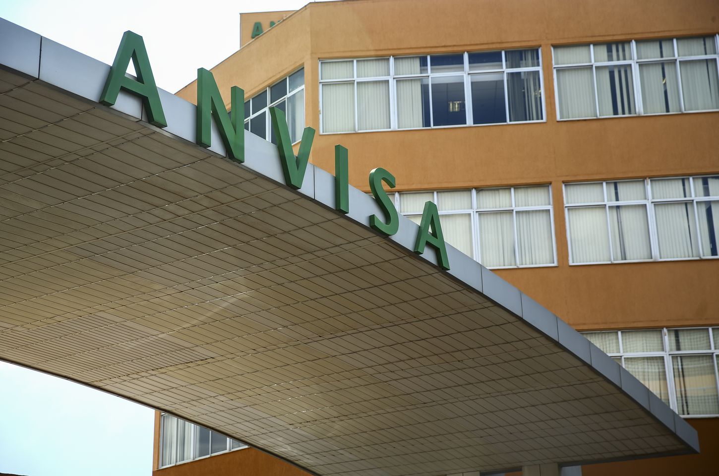 Anvisa proíbe lotes de panetones e produtos com cogumelos não autorizados