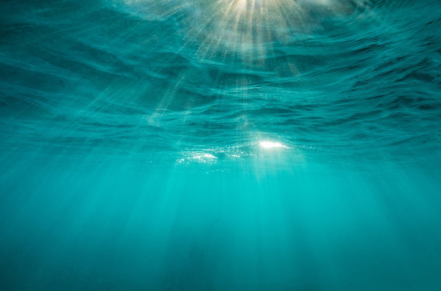 Apeiron Labs revoluciona exploração oceânica com AUVs de baixo custo