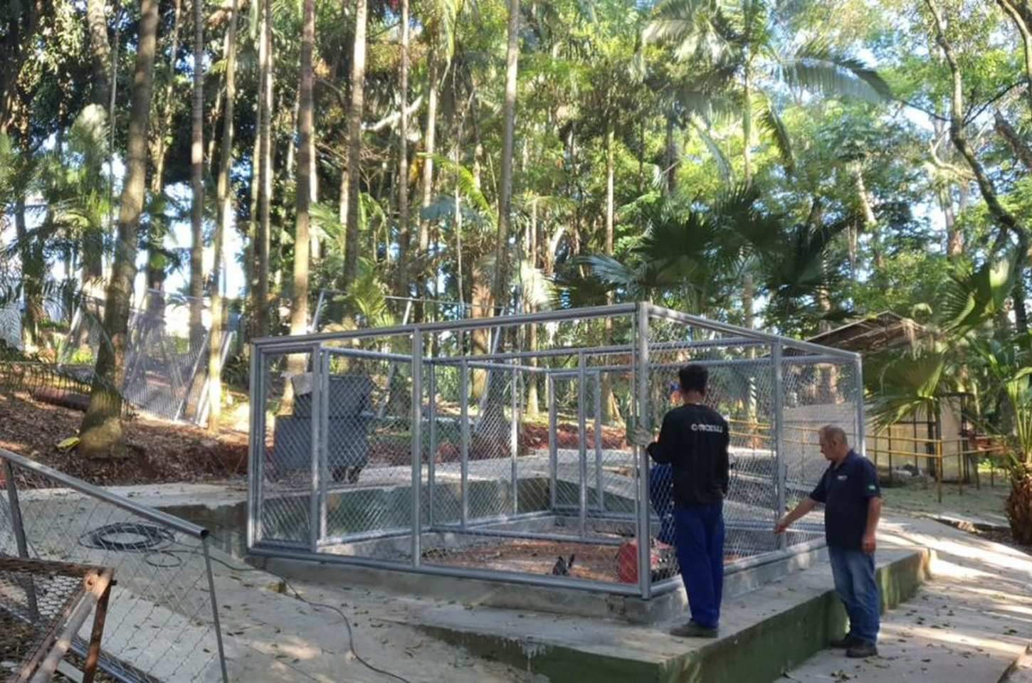 Apucarana inicia modernização do Bosque Municipal com novos viveiros e acessibilidade