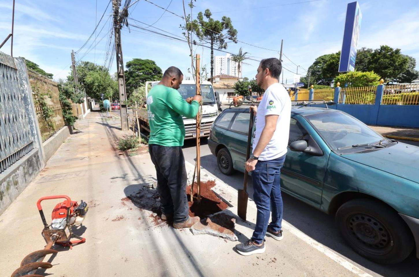 Apucarana inicia plantio de 250 árvores em trajeto de corrida como parte de programa de sustentabilidade