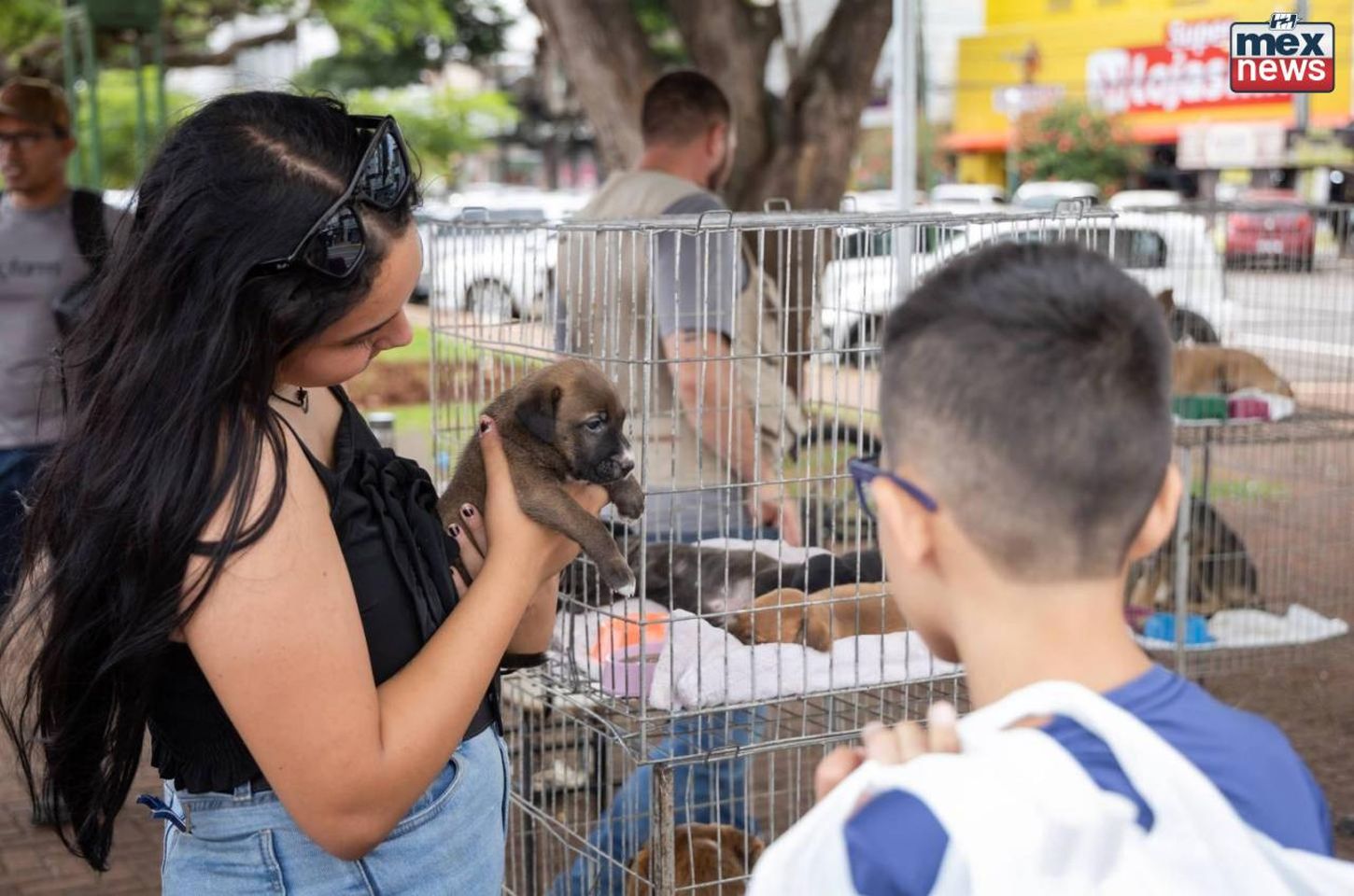 Apucarana lidera no Paraná com o Programa Saúde Única