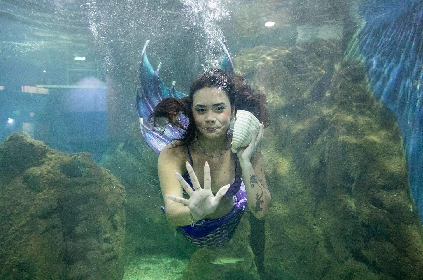 Aquário de Paranaguá inaugura atrações interativas para o verão