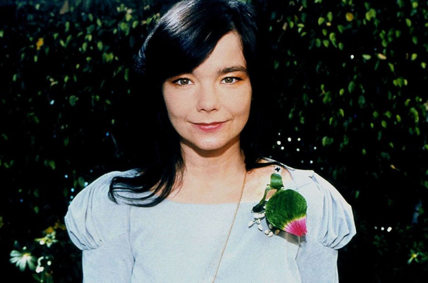 Björk anuncia exposição 'Echolalia' e sinaliza novo álbum em 2026