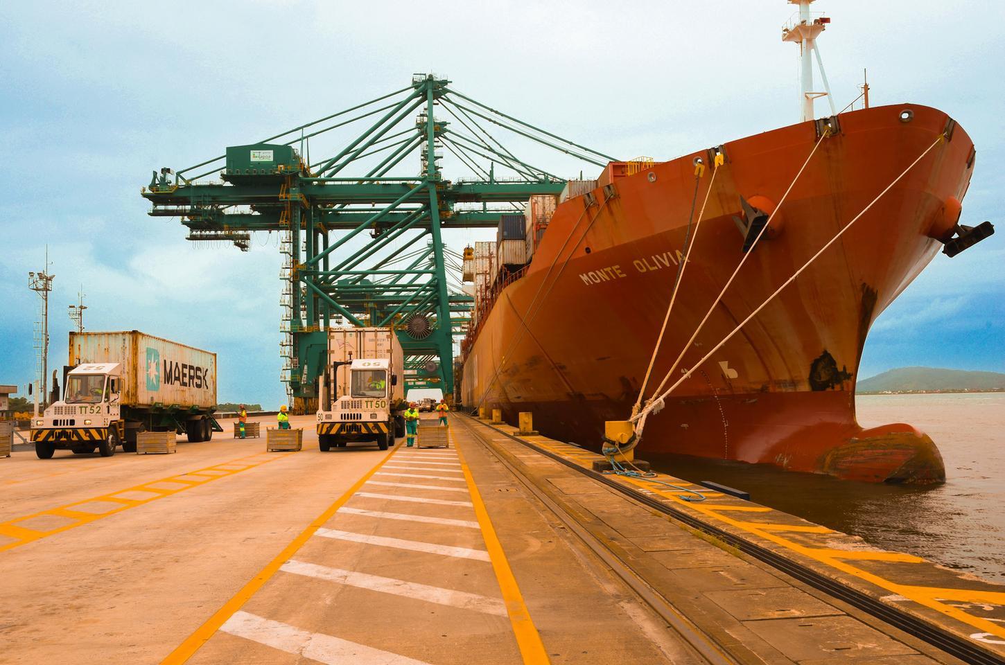 Brasil amplia exportações agropecuárias com novos acordos sanitários