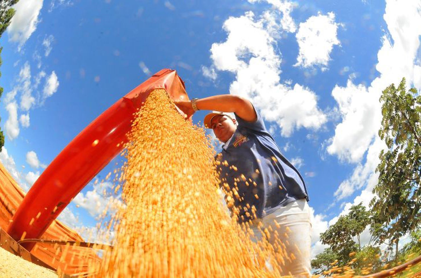 Brasil projeta safra recorde de grãos para 2025/26, com 353,4 milhões de toneladas