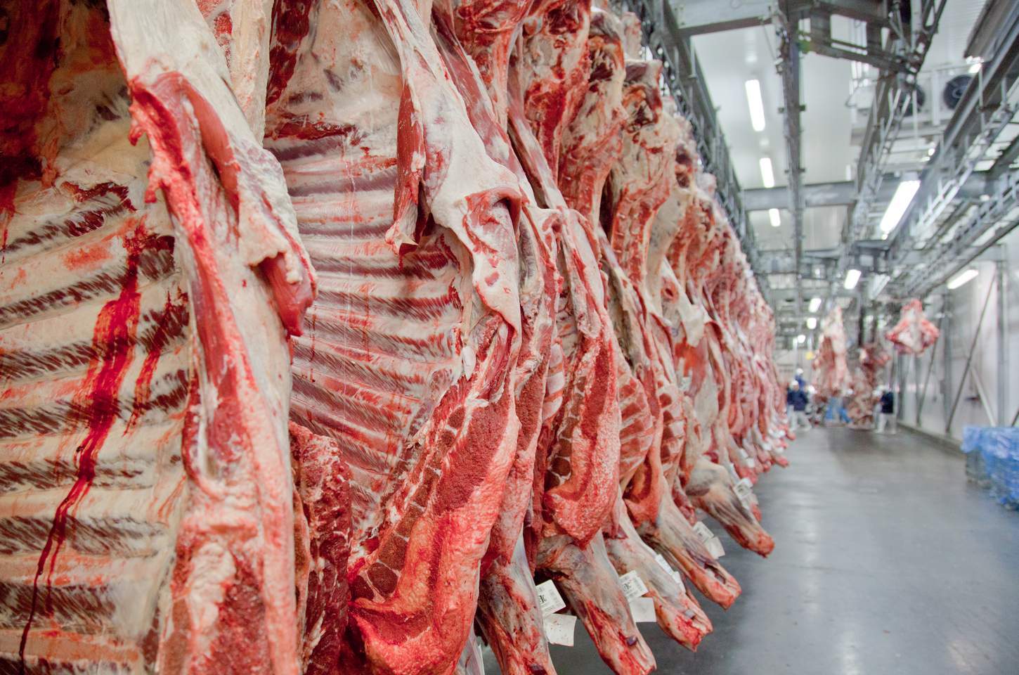 Brasil reage com surpresa à exclusão da lista de exportadores para a União Europeia