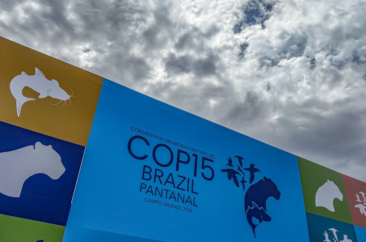 Brasil recebe líderes mundiais para cúpula sobre espécies migratórias