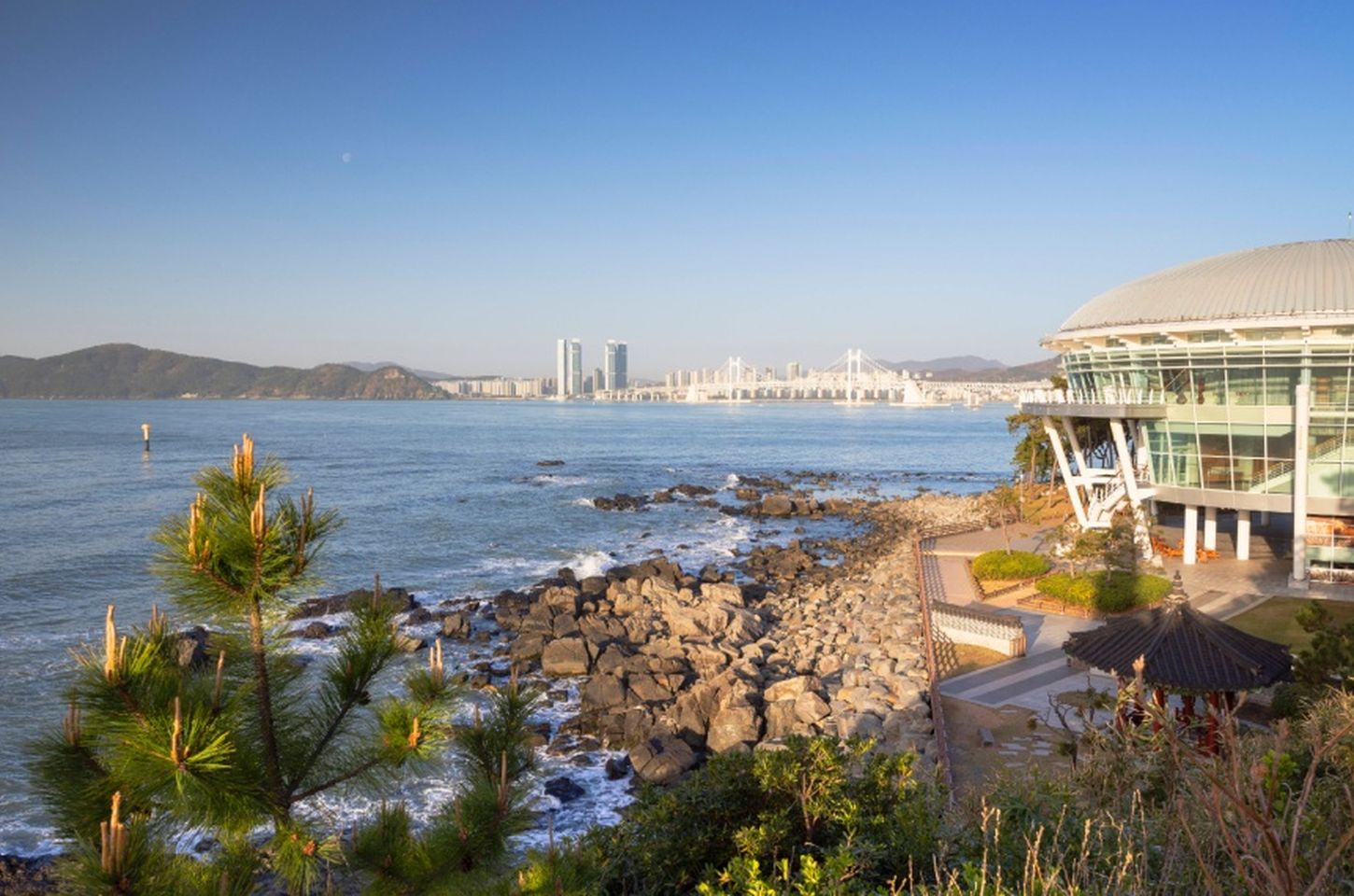 Brasileiros viajam mais à Coreia do Sul em 2025, com 25% de aumento