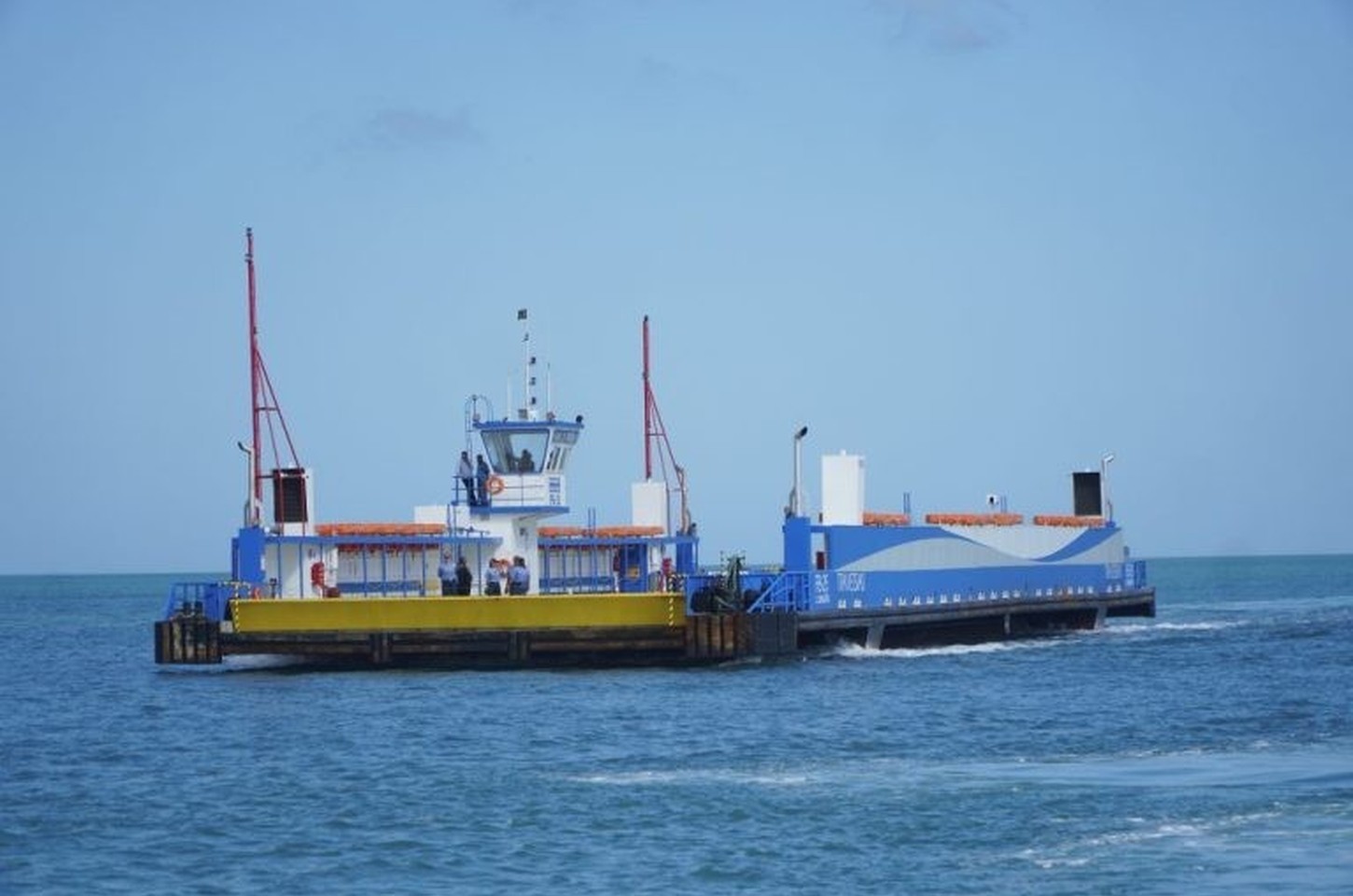 Cachorro salvo após pular no mar durante travessia de ferryboat em SP