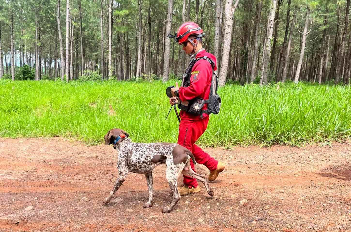 Cães de resgate do Paraná passam por certificação nacional em Cianorte