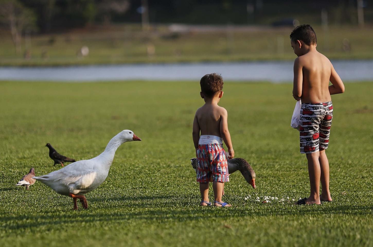 Calor intenso e chuvas isoladas marcam a semana no Paraná
