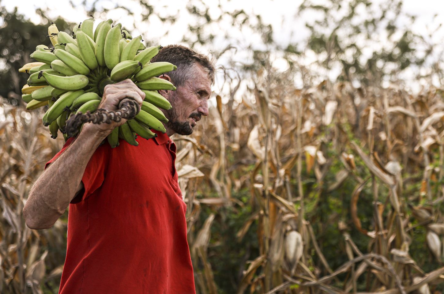 Câmara aprova uso de fundo garantidor para crédito da agricultura familiar