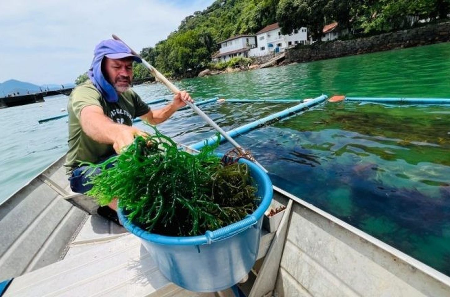 Campanha alerta para preservação de áreas de maricultura em Ubatuba