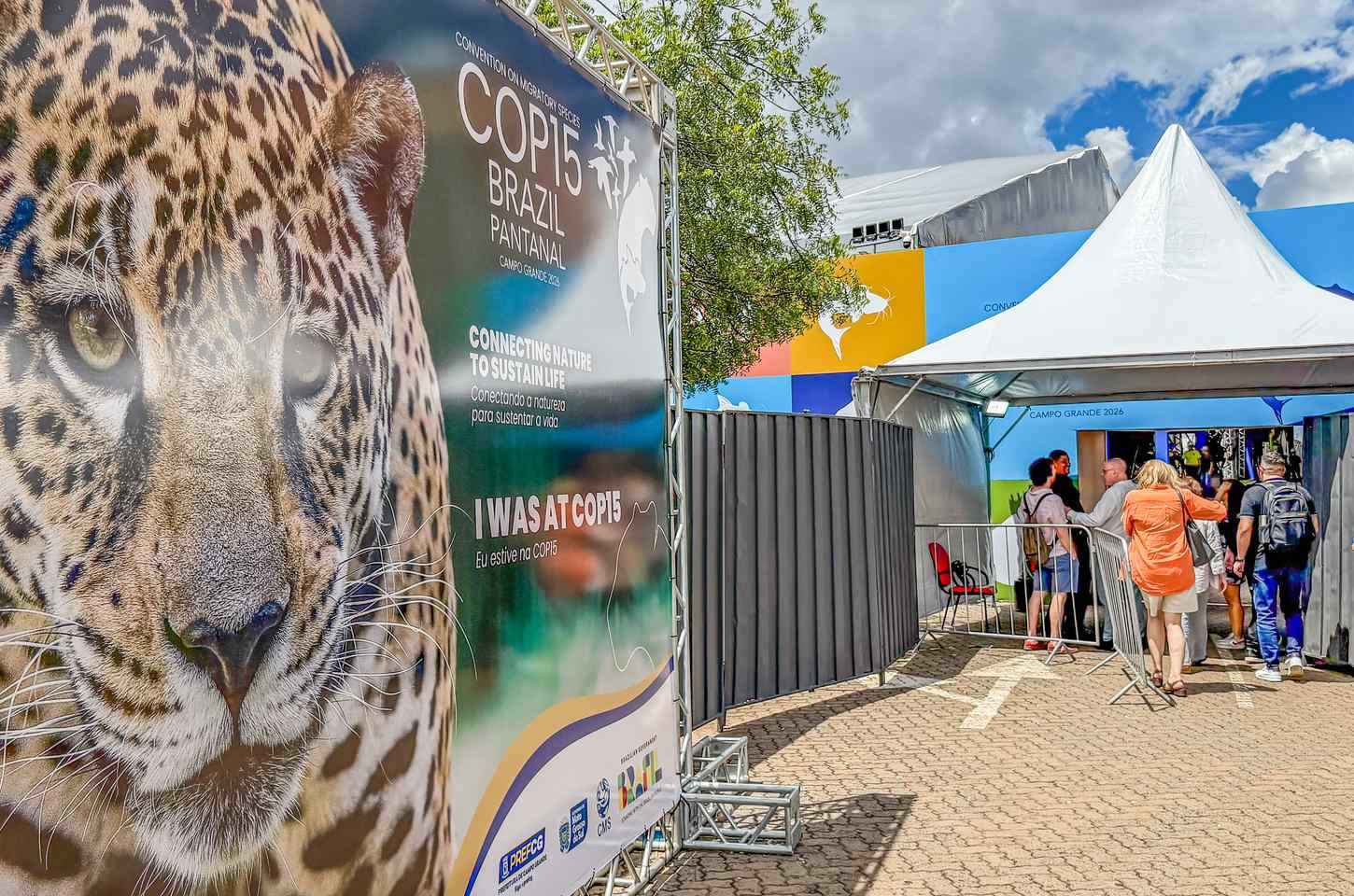 Campo Grande sedia conferência da ONU sobre animais migratórios