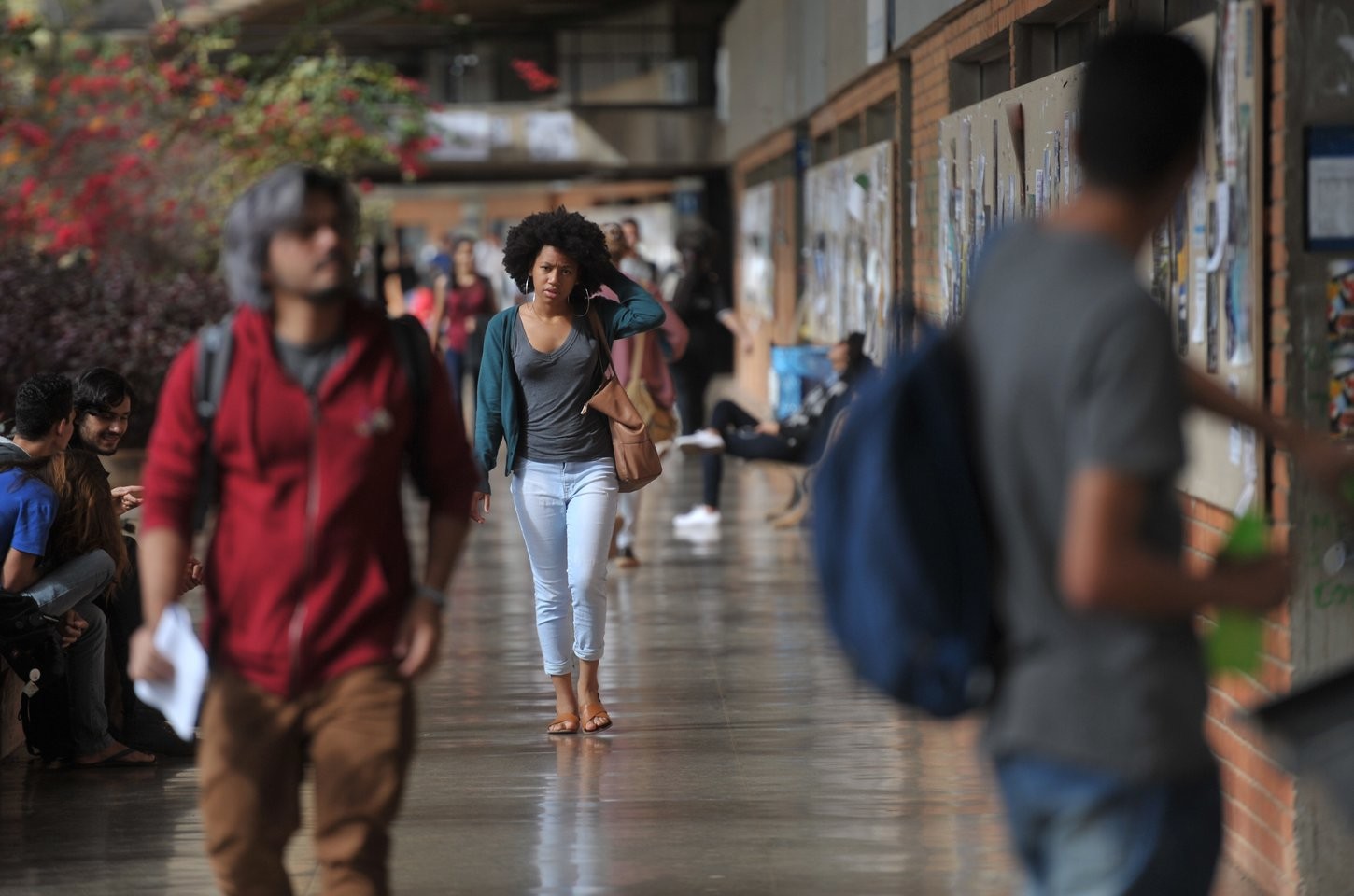 Capes abre inscrições para bolsa pé-de-meia de R$ 1.050 para futuros professores