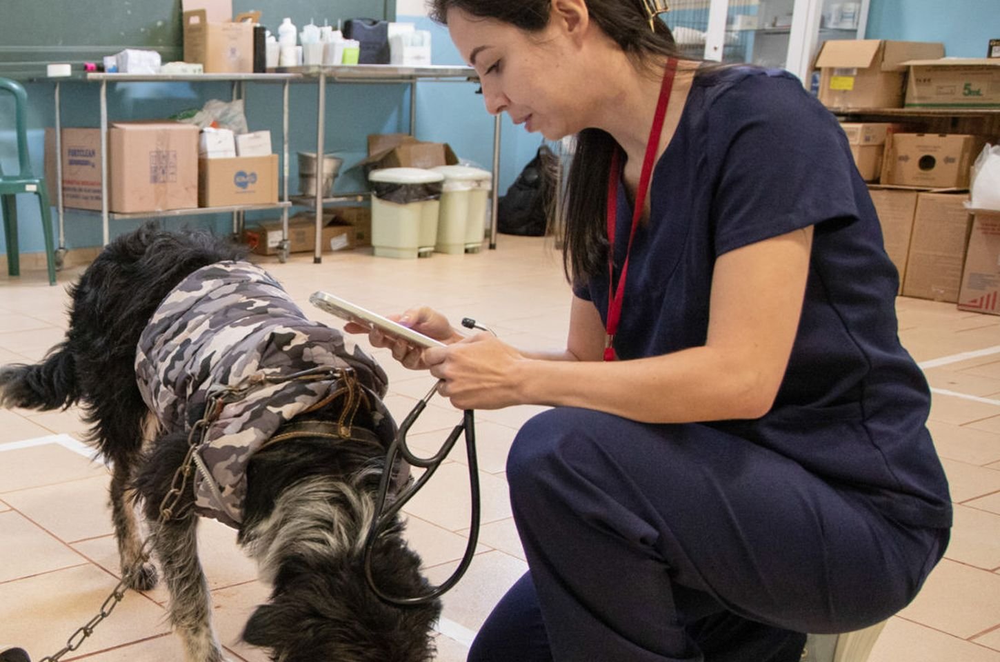 CastraPet Paraná realiza mutirão gratuito de esterilização em Apucarana