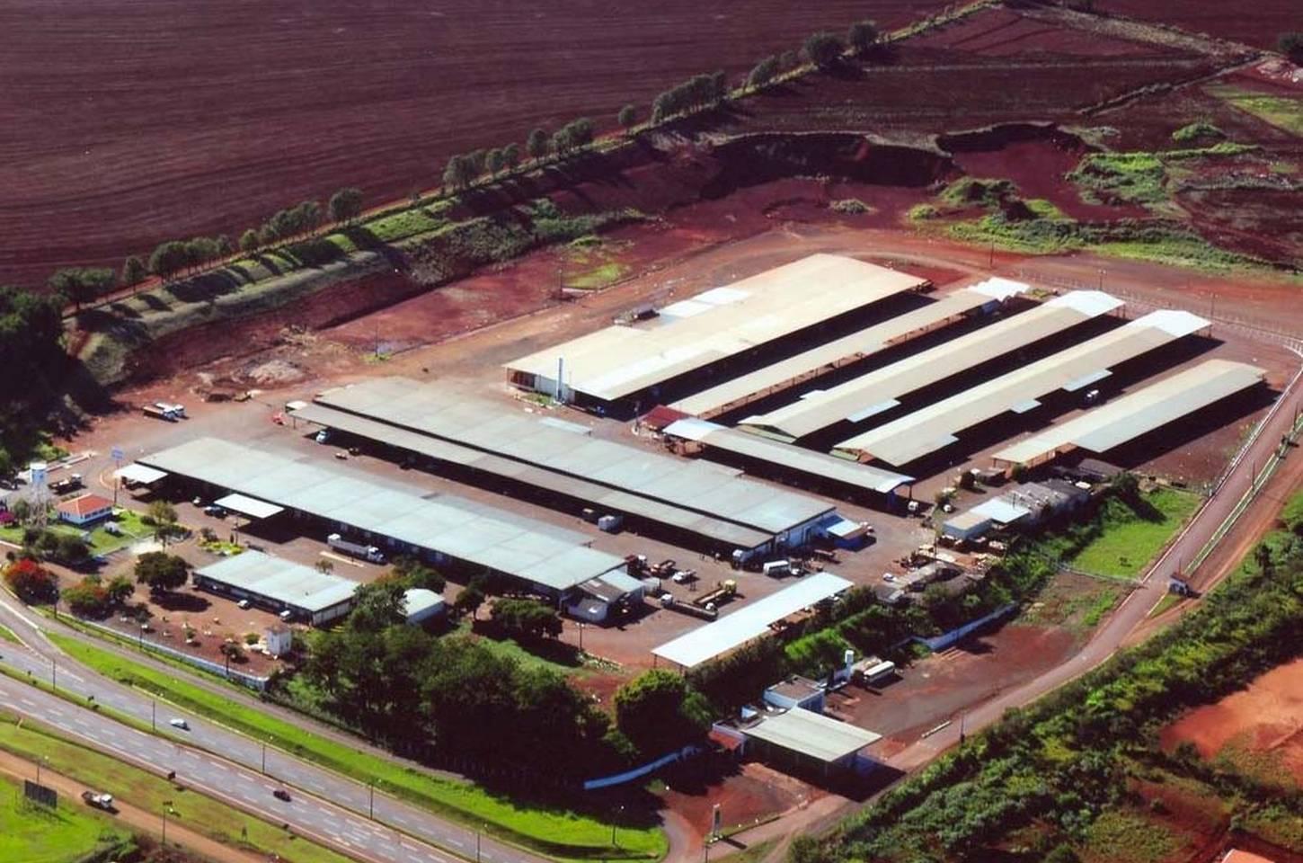 Ceasa de Londrina funciona no feriado do Dia do Trabalhador; demais unidades fecham