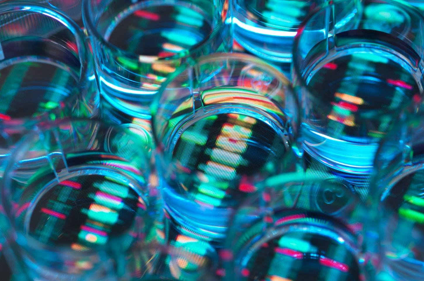 Chai Discovery atinge unicórnio com rodada de US$ 130 milhões liderada por IA