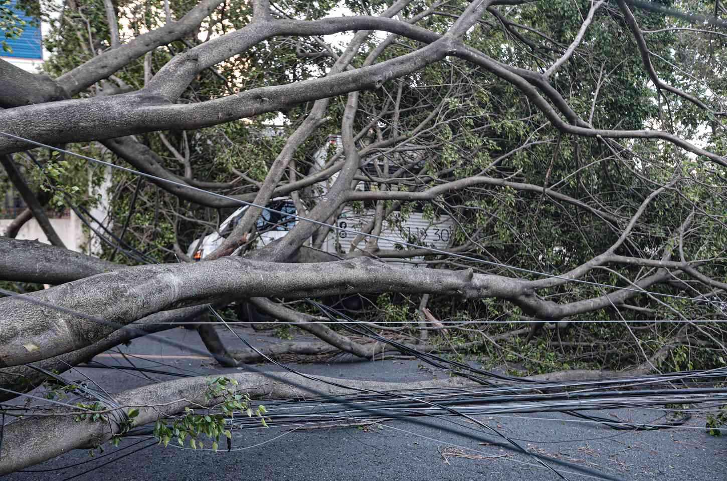 Chuvas e ventania deixam 710 mil sem luz na Grande São Paulo