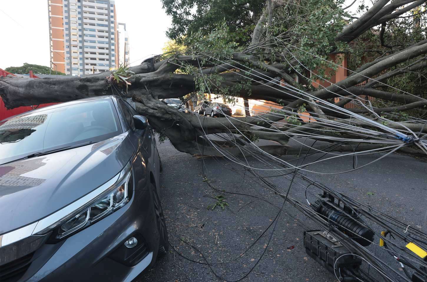 Ciclone causa prejuízo de R$ 51,7 milhões ao comércio da Grande São Paulo