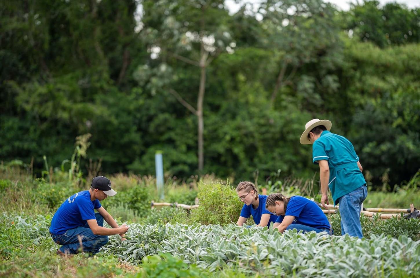Colégio agrícola do Paraná alia ensino técnico e produção agropecuária com sucesso