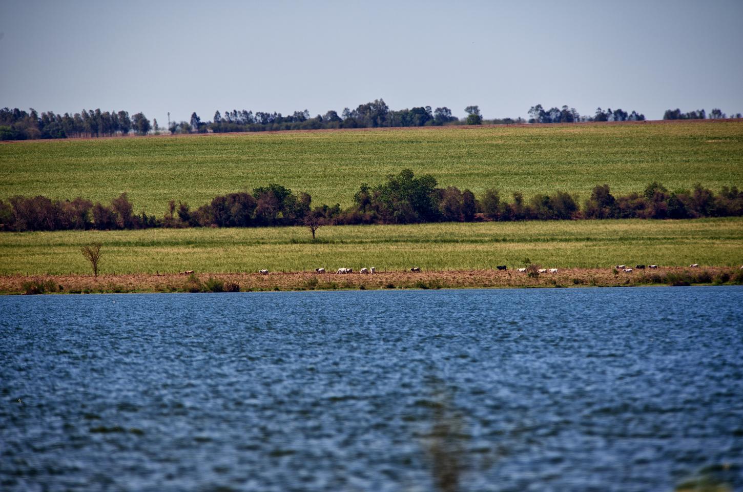 Comitês de bacias hidrográficas do Paraná se reúnem para debater gestão da água