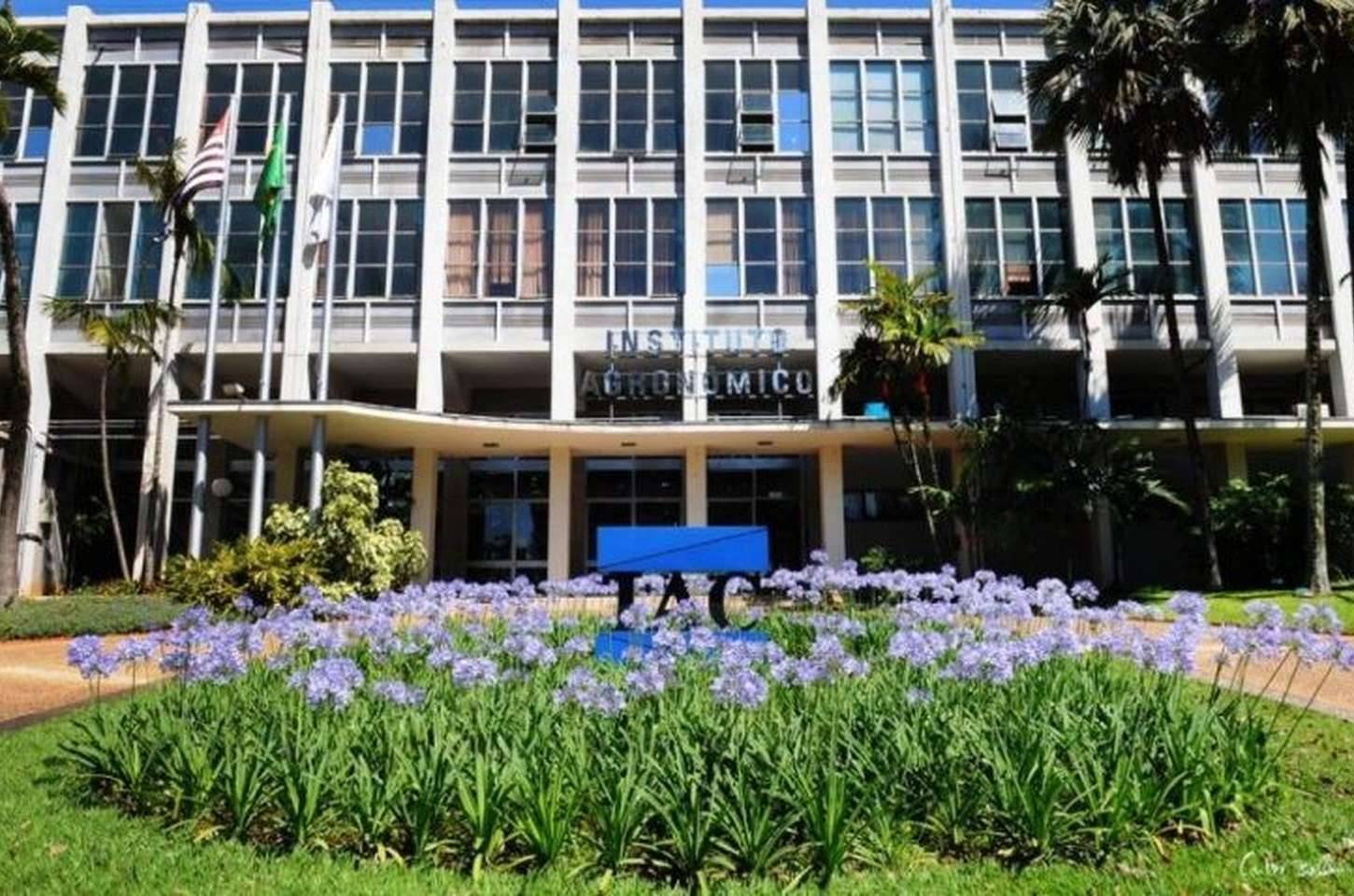 Concurso para pesquisadores em SP convoca aprovados para escolha de vagas