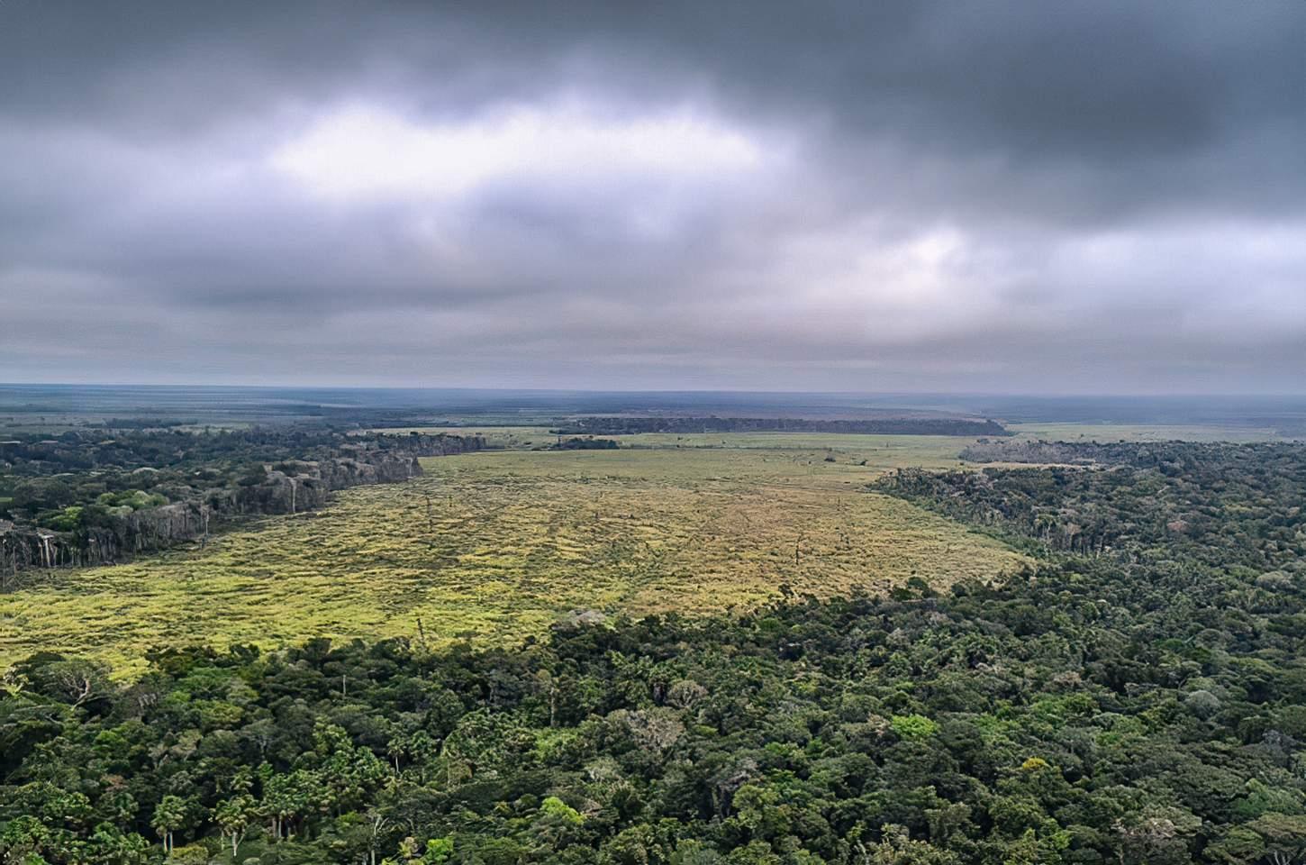 Congresso derruba vetos e ambientalistas alertam para retrocesso