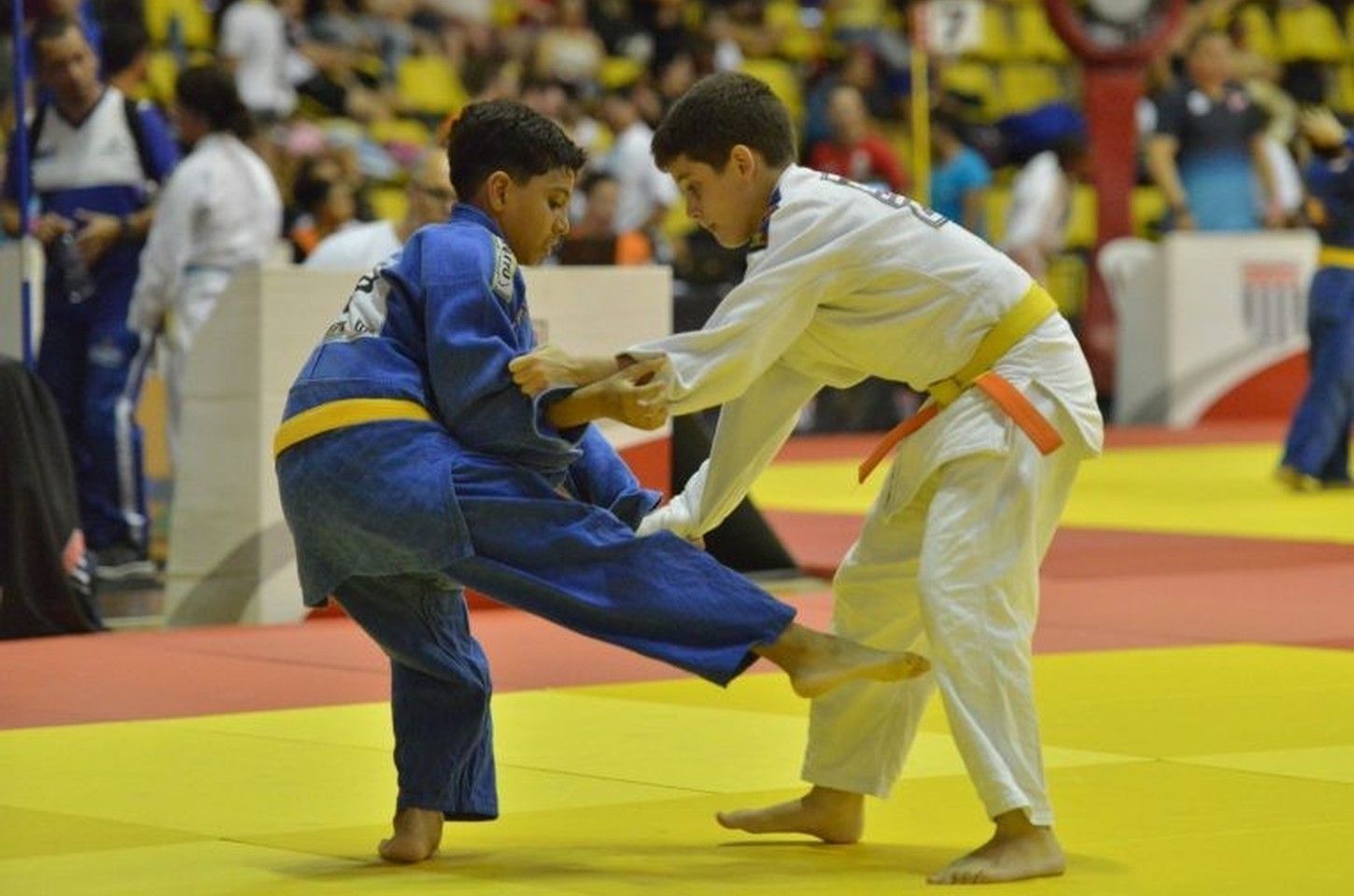 Copa SP de Judô reúne mais de 5 mil atletas no Ibirapuera