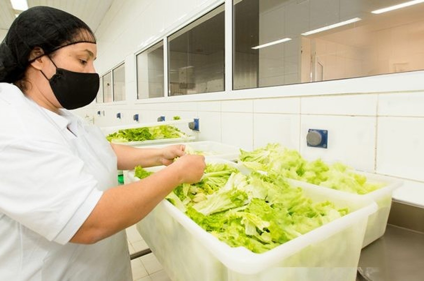 Cozinha em risco: estudo revela hábitos perigosos dos brasileiros em casa