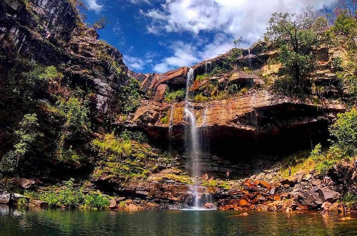 Criança de 8 anos é atacada por onça-parda na Chapada dos Veadeiros
