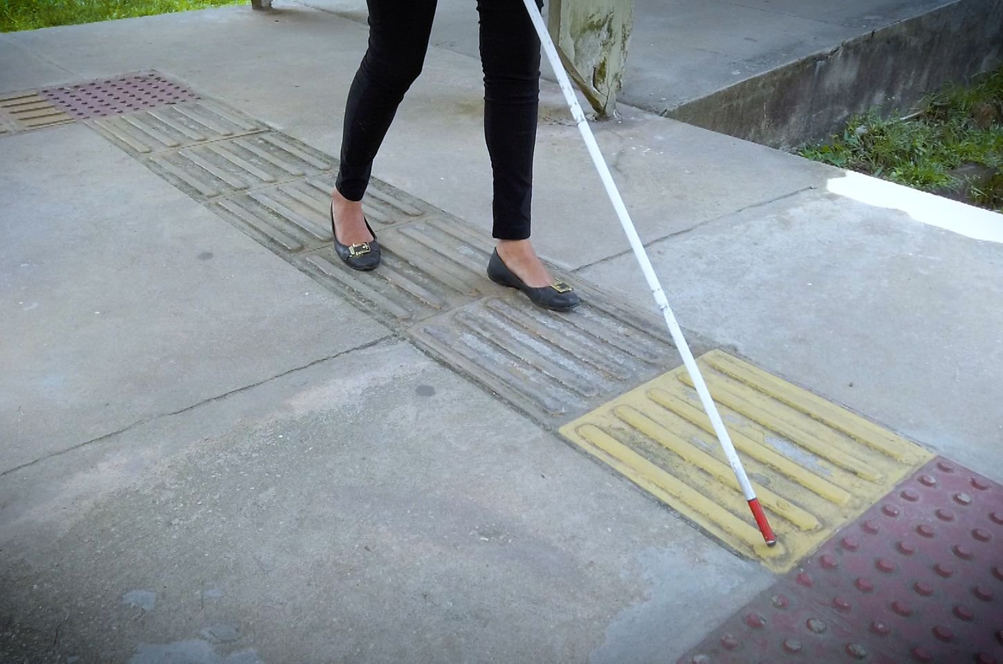 Dezembro começa com datas importantes para saúde, direitos humanos e cultura