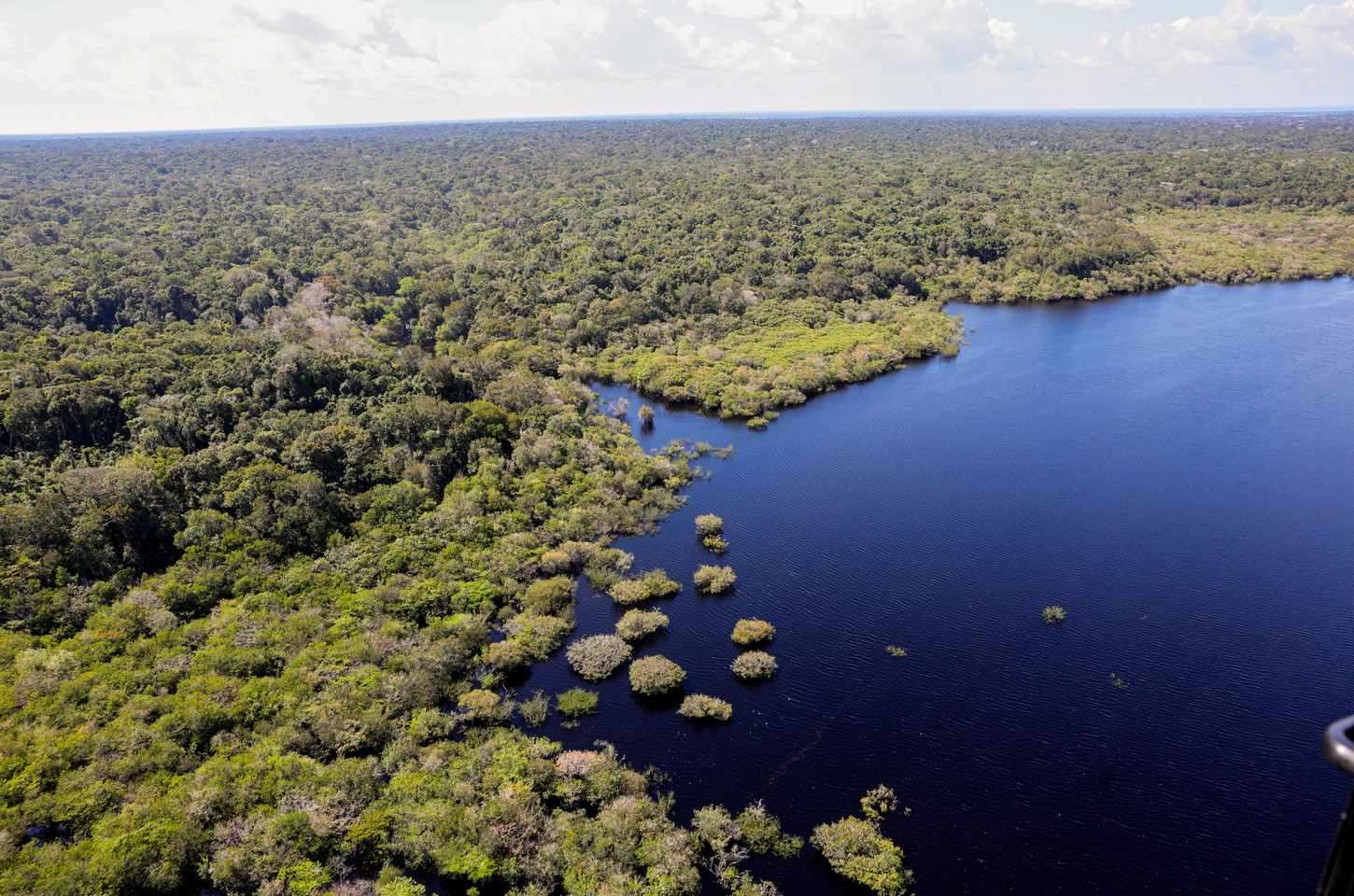 Eco Invest Brasil lança nova rodada focada exclusivamente na Amazônia