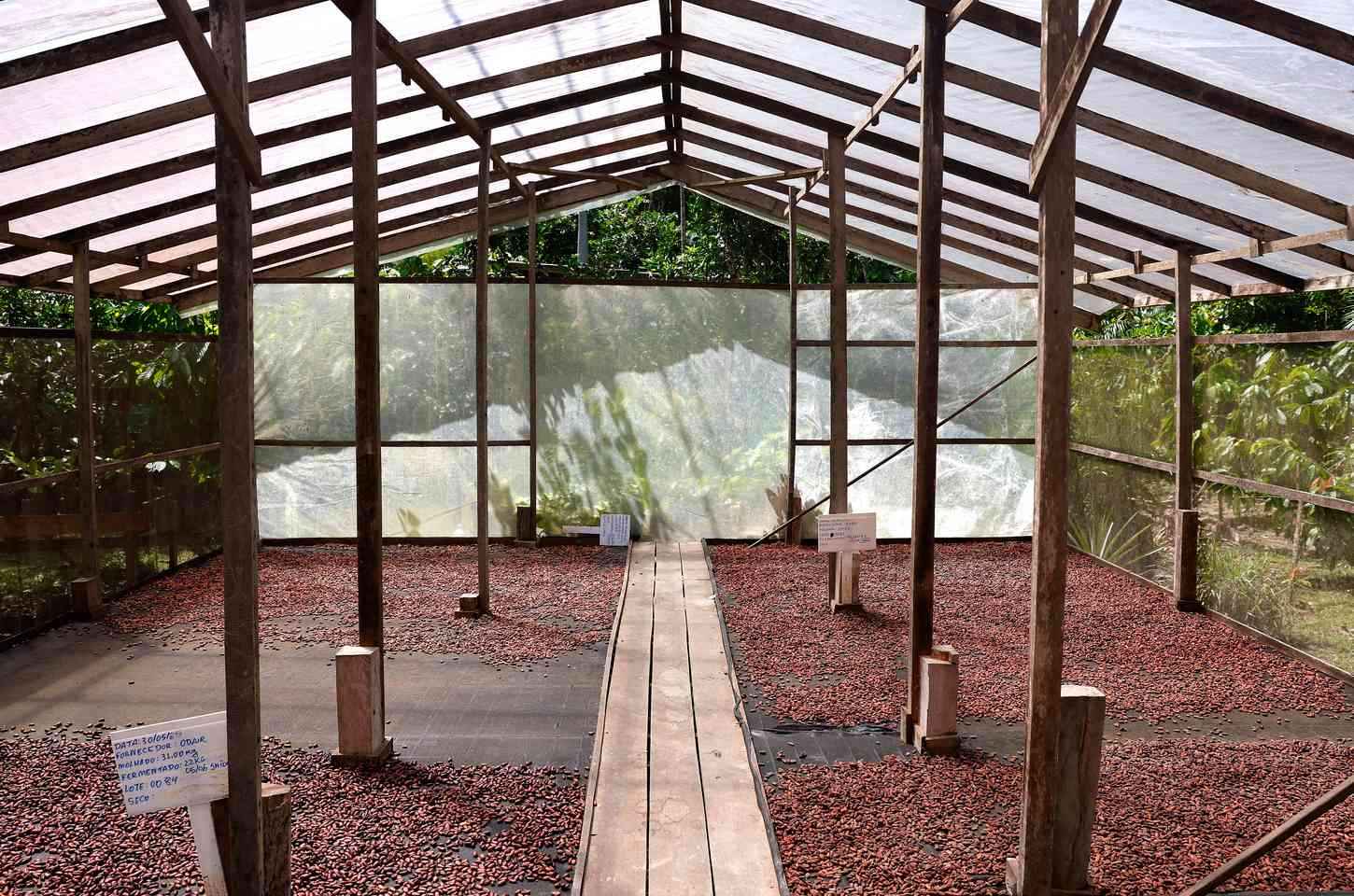 Edital do Projeto Rural Sustentável na Amazônia recebe inscrições até abril de 2026