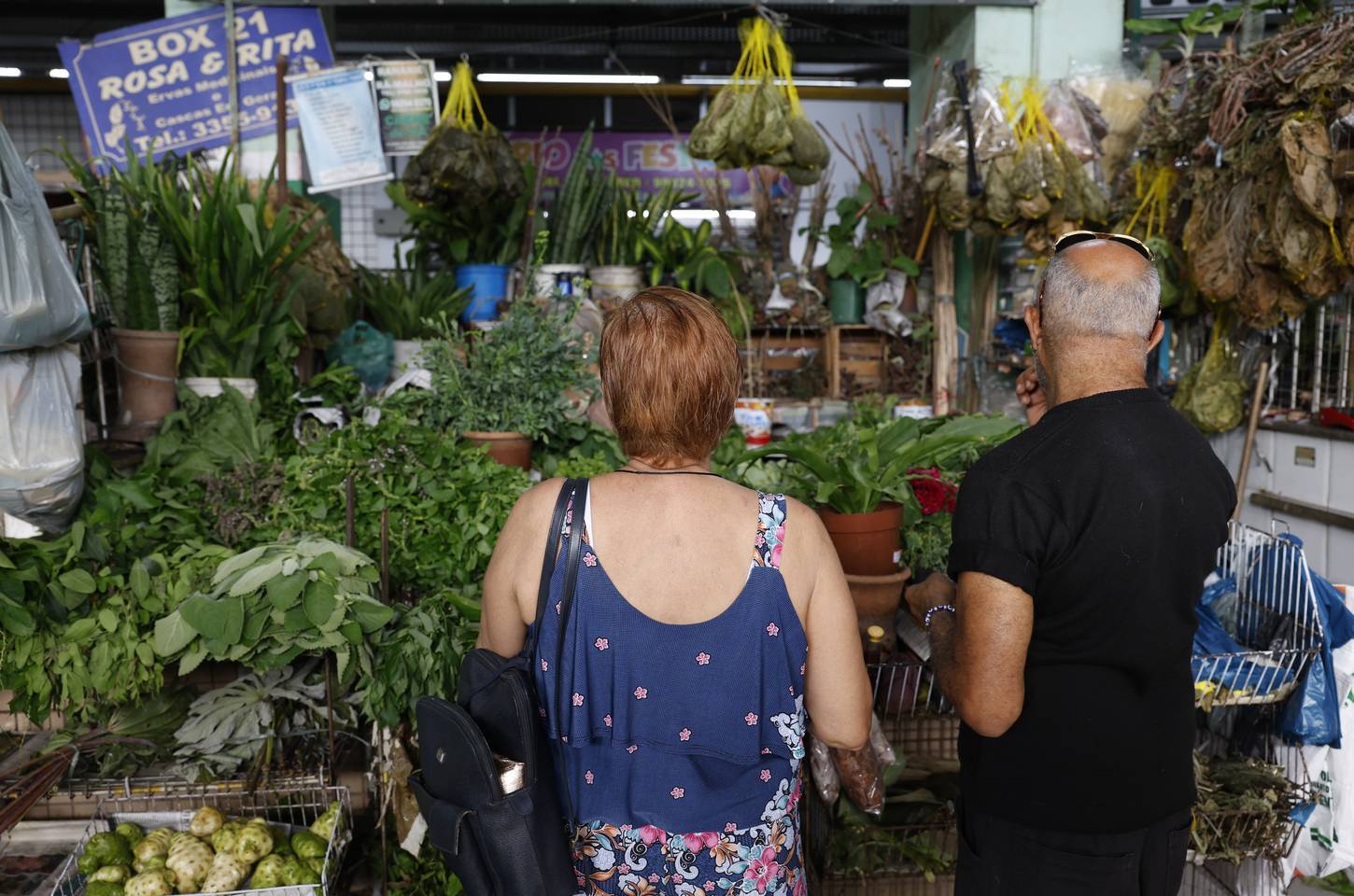 Ervas do Rio: banhos energéticos movimentam feiras e terreiros no fim de ano