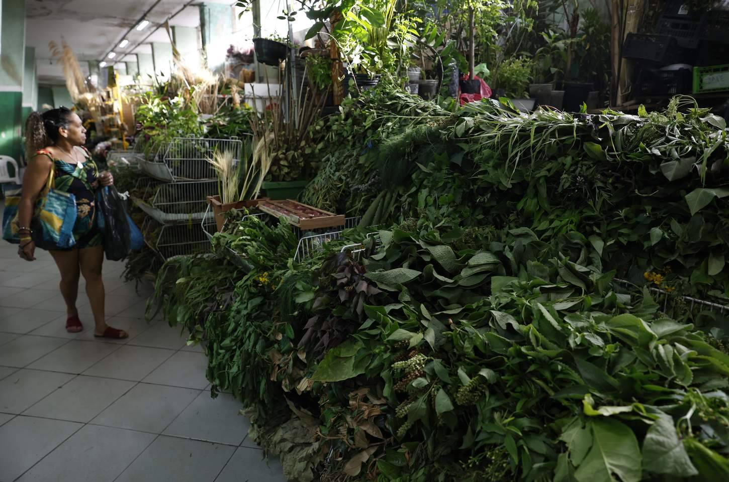 Ervas sagradas movimentam comércio e tradição no Mercadão de Madureira