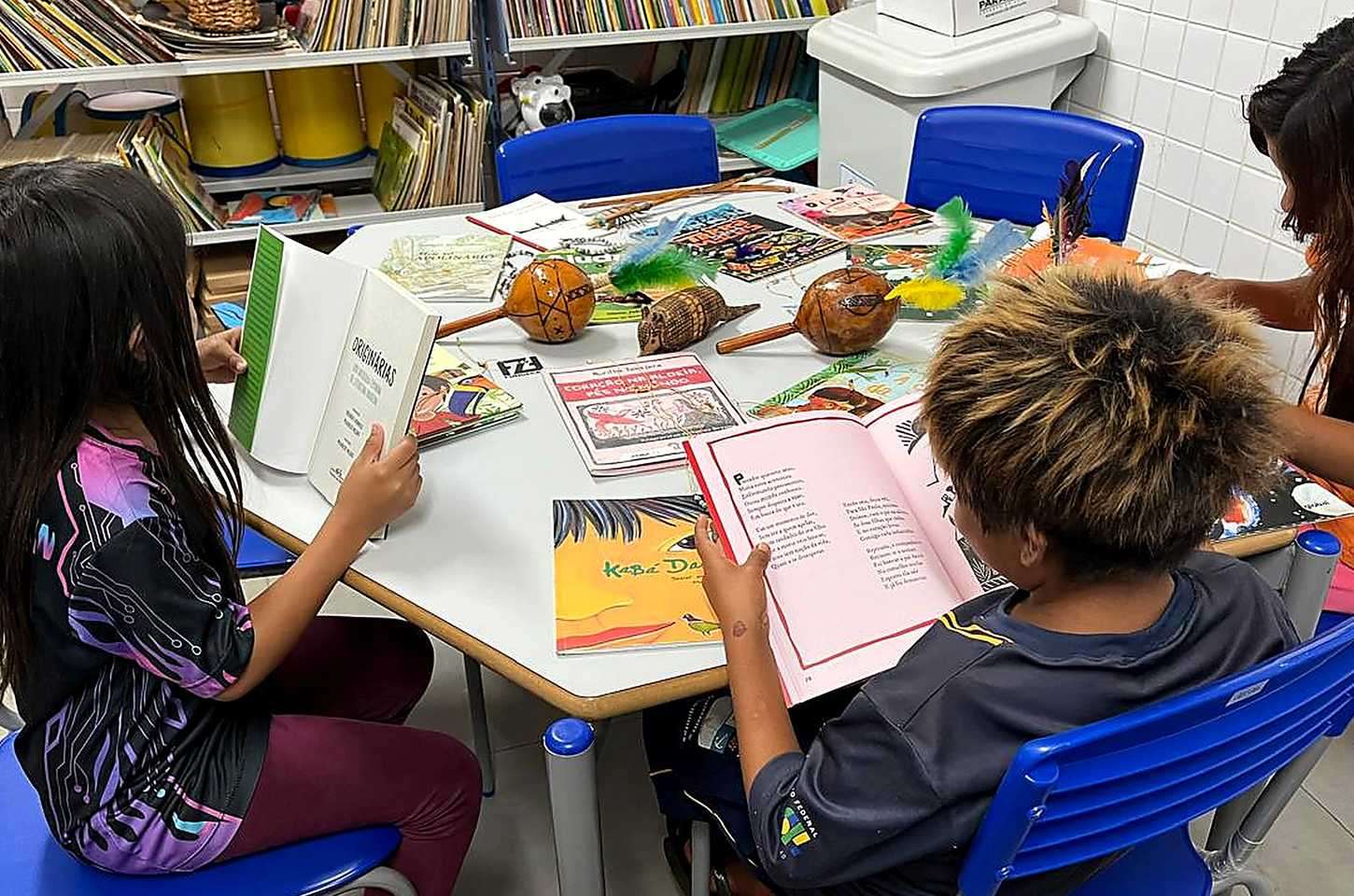 Escolas indígenas do Paraná receberão livros de autores indígenas em 2026