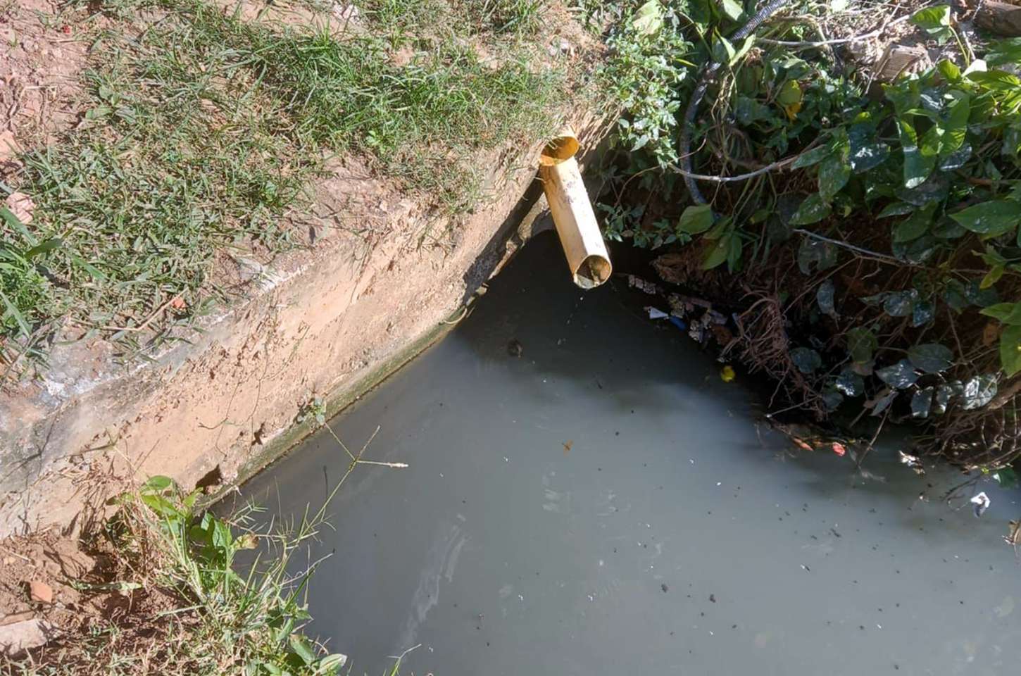 Esgoto contamina brejo vital para quilombo em Cabo Frio