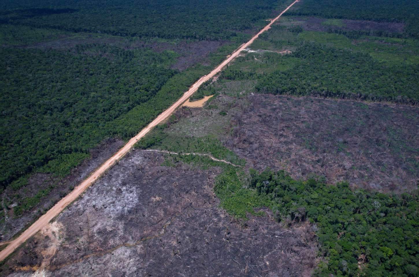 Estradas ilegais avançam sobre áreas protegidas na Amazônia