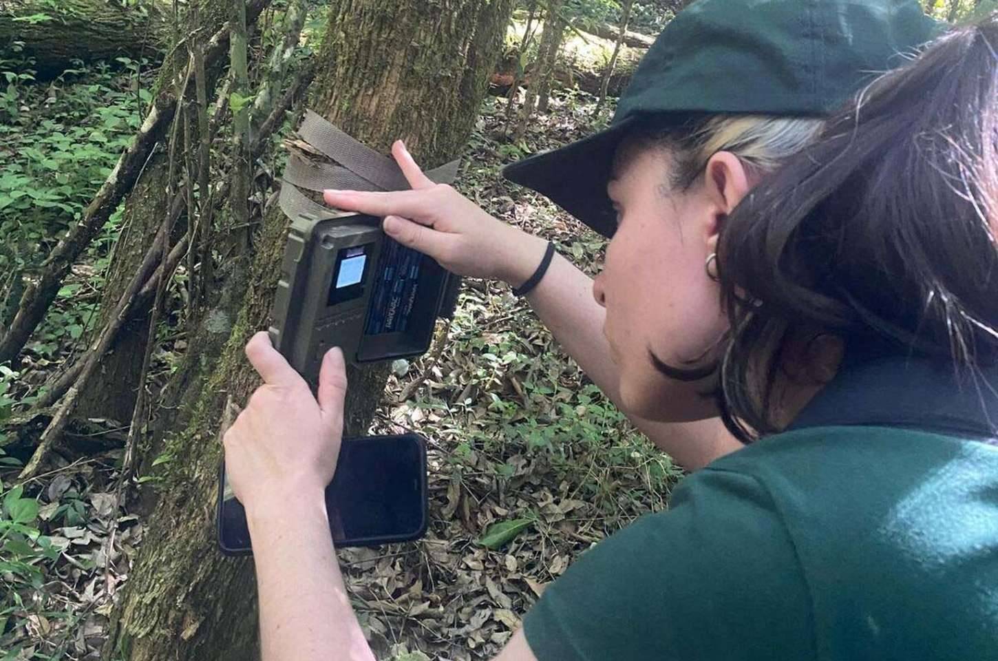 Estudantes da Unicentro monitoram mamíferos silvestres em parques do Paraná
